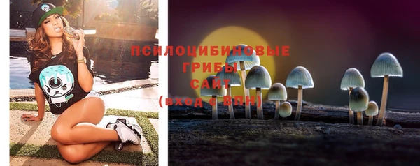 молекула духа Нягань