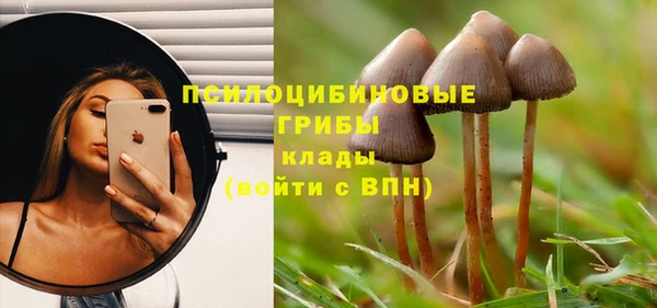 молекула духа Нягань
