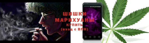 ПСИЛОЦИБИНОВЫЕ ГРИБЫ Няндома