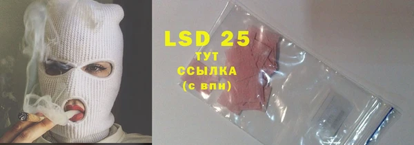 гашик Новодвинск