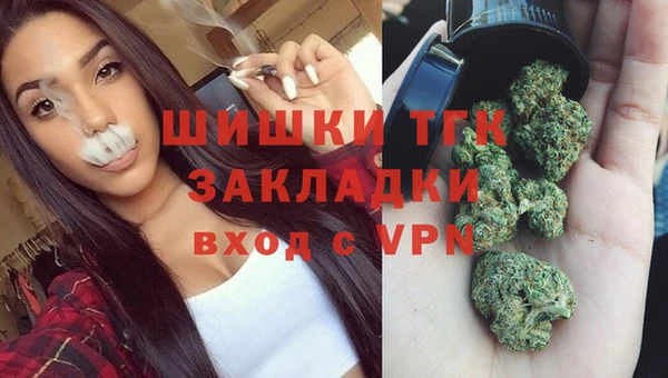 гашик Новодвинск