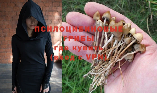 mdpv Нязепетровск