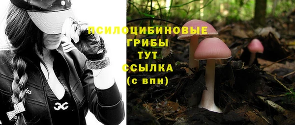 кокаин перу Новозыбков