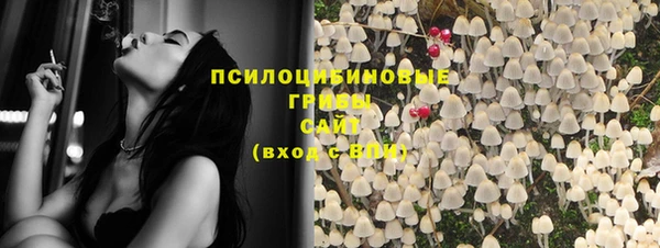 ПСИЛОЦИБИНОВЫЕ ГРИБЫ Няндома