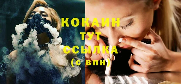 ПСИЛОЦИБИНОВЫЕ ГРИБЫ Няндома