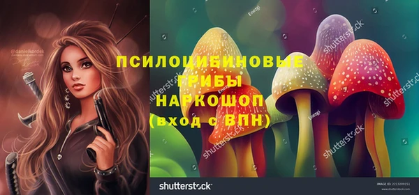 mdpv Нязепетровск